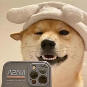 Meet your Posher, Willie